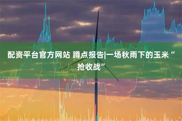 配资平台官方网站 蹲点报告|一场秋雨下的玉米“抢收战”