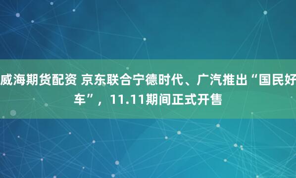 威海期货配资 京东联合宁德时代、广汽推出“国民好车”，11.11期间正式开售