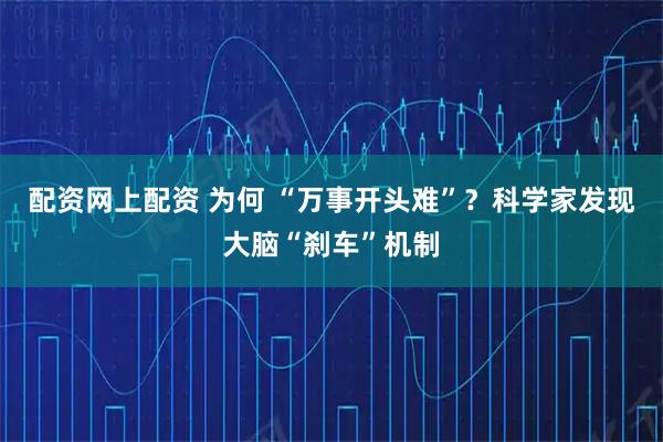 配资网上配资 为何 “万事开头难”？科学家发现大脑“刹车”机制