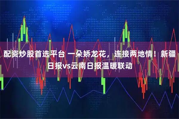 配资炒股首选平台 一朵娇龙花，连接两地情！新疆日报vs云南日报温暖联动