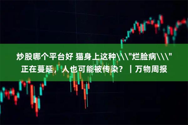 炒股哪个平台好 猫身上这种\