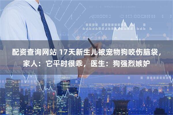 配资查询网站 17天新生儿被宠物狗咬伤脑袋，家人：它平时很乖，医生：狗强烈嫉妒